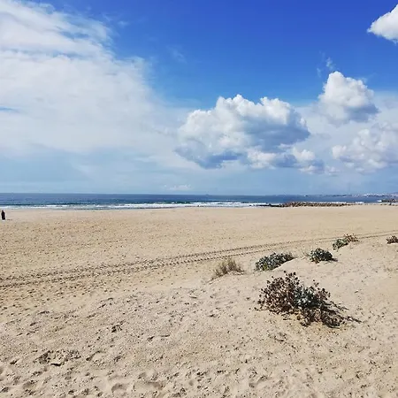 アパート Ocean View