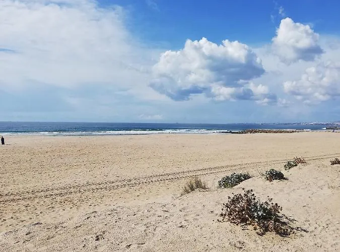 Daire Ocean View